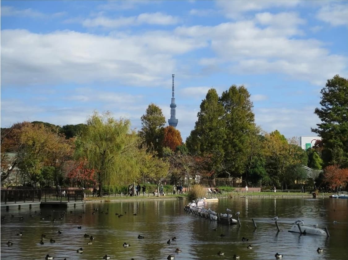 풀박✨ 캐논 익시 180 실버 🤍가볍게 남기는 청량 인물 감성 ✨ 상품이미지9