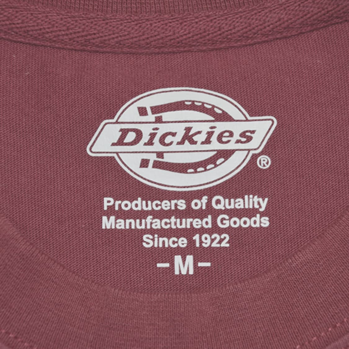 Dickies 반팔티셔츠1 상품이미지7