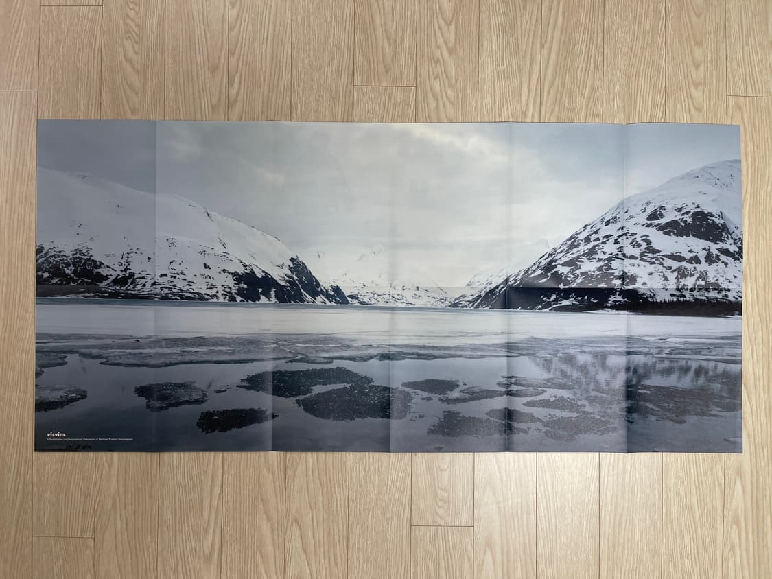 비즈빔 2007-08FW 포스터 visvim 상품이미지1