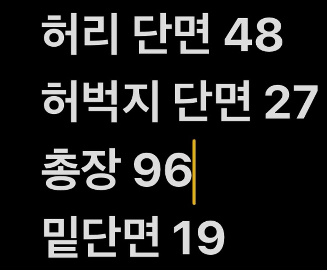 [ 정품/82 ] 타이틀리스트 체크 패턴 바지 b8 상품이미지6