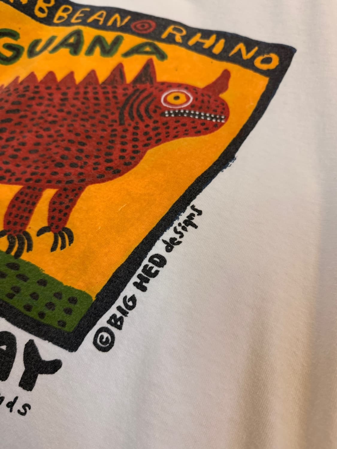  90S Big Hed Designs 이구아나 그래픽 L 상품이미지3