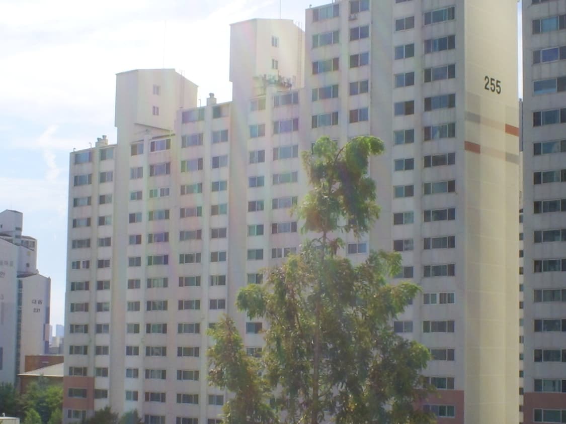 캐녹스 d503디카 상품이미지7