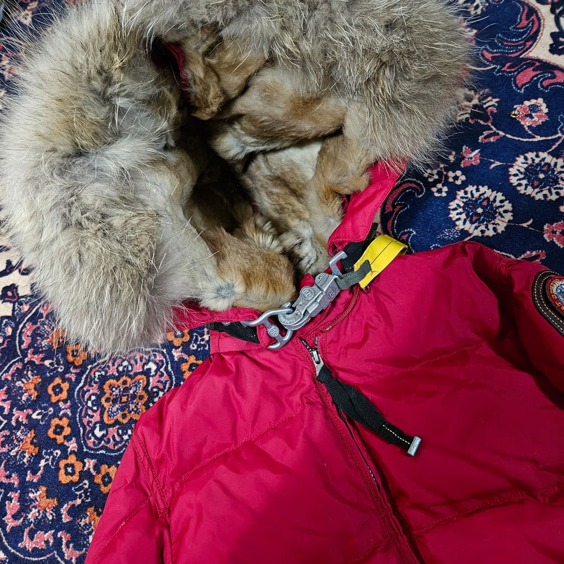 파라점퍼스 롱베어 다운 패딩 파카 M size
 상품이미지2