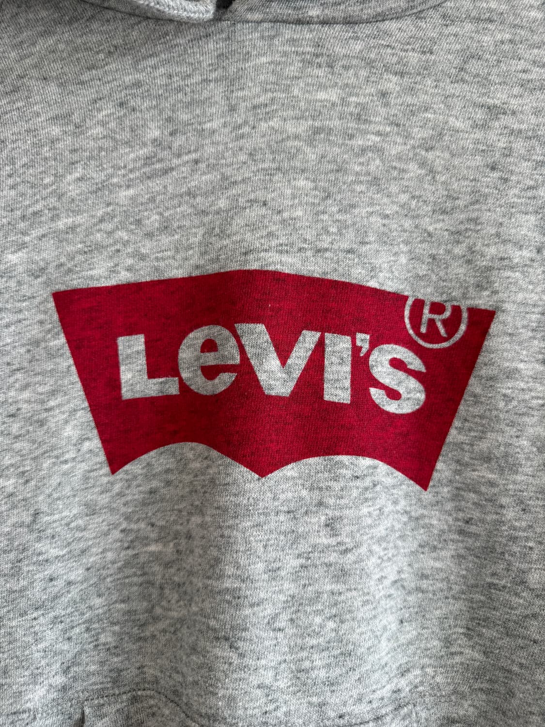 리바이스(Levi's) 후드 상품이미지5