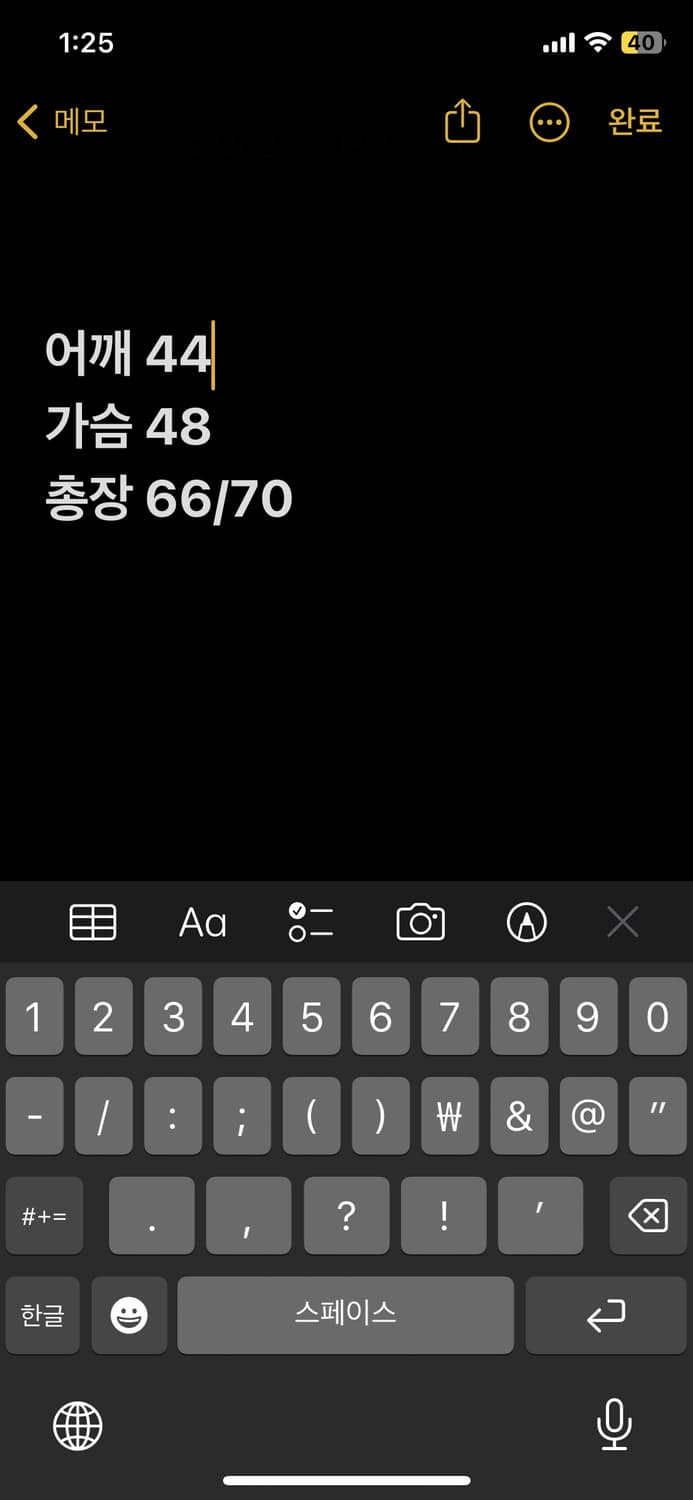 폴로랄프로렌 화이트 카라티 상품이미지6