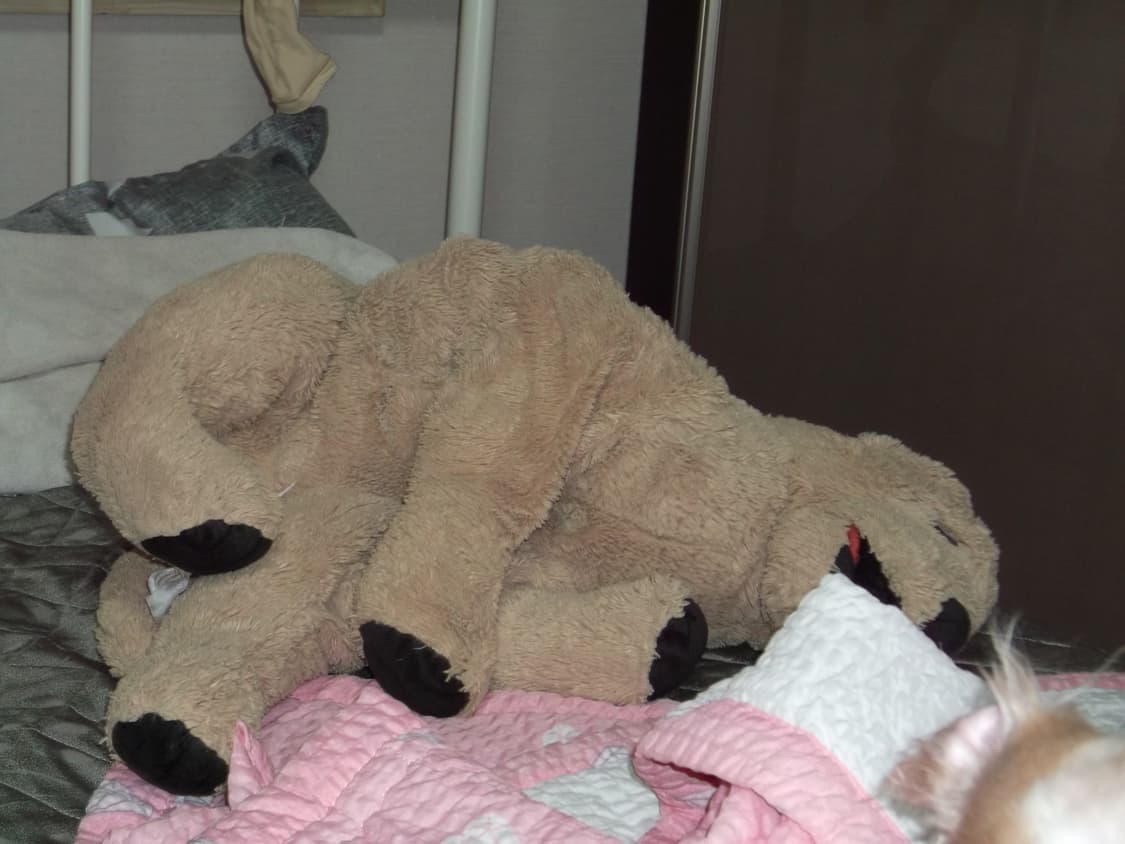 Fujifilm finepix AX300 빈티지디카 상품이미지9