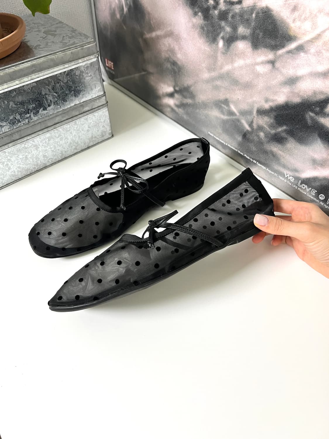 SY UNITED ARROWS-DOT FLAT SHOES  상품이미지3