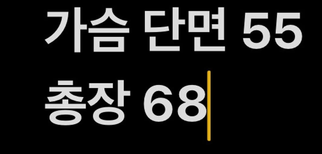 [ 정품/XL,105 ] 내셔널지오그래픽 경량 패딩 조끼 b8 상품이미지6