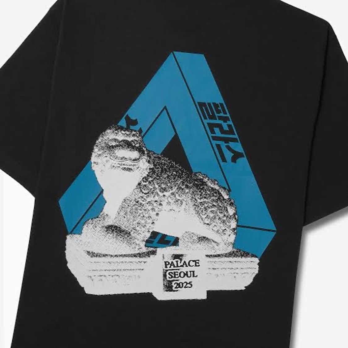 팔라스 서울 2 서울 트라이퍼그 티셔츠 블랙 - 25SS 상품이미지1
