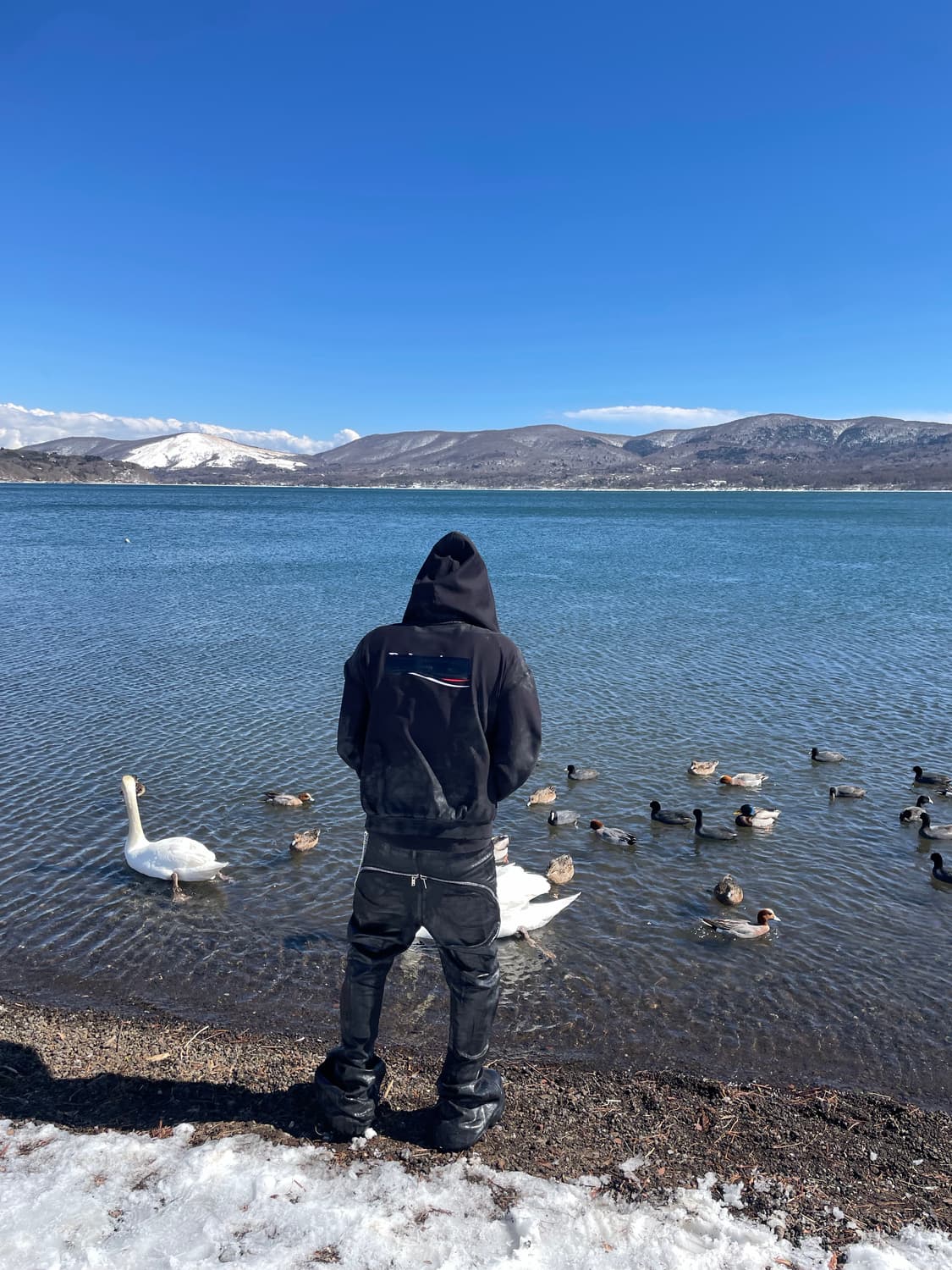 발렌시아가 개퍼 스몰핏 후드집업 상품이미지1