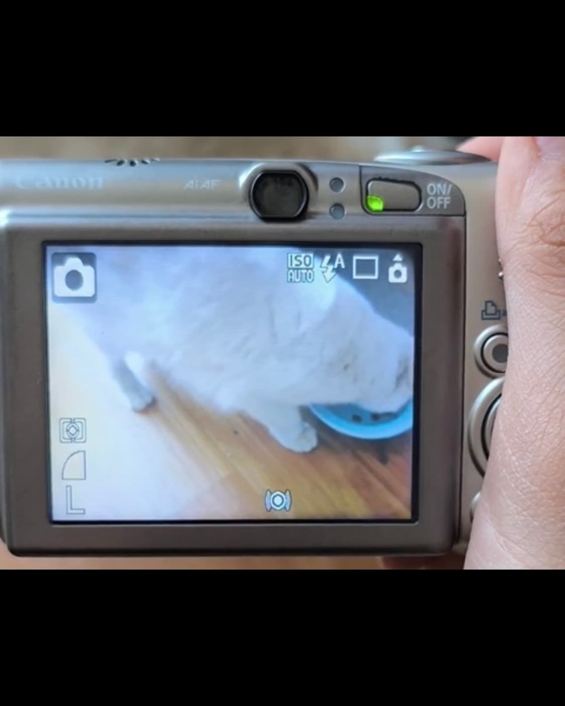 A급)캐논 익시 810 (캐논 익서스 950 IXUS 950) 빈티지디카 상품이미지9