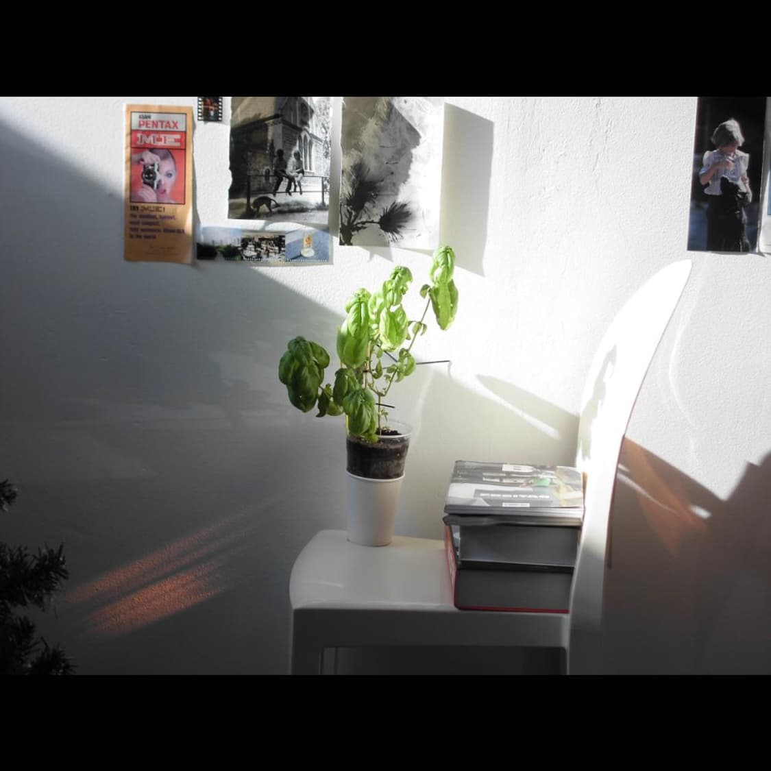 작례⭕️ 카시오 엑슬림 EX0N10 상품이미지7