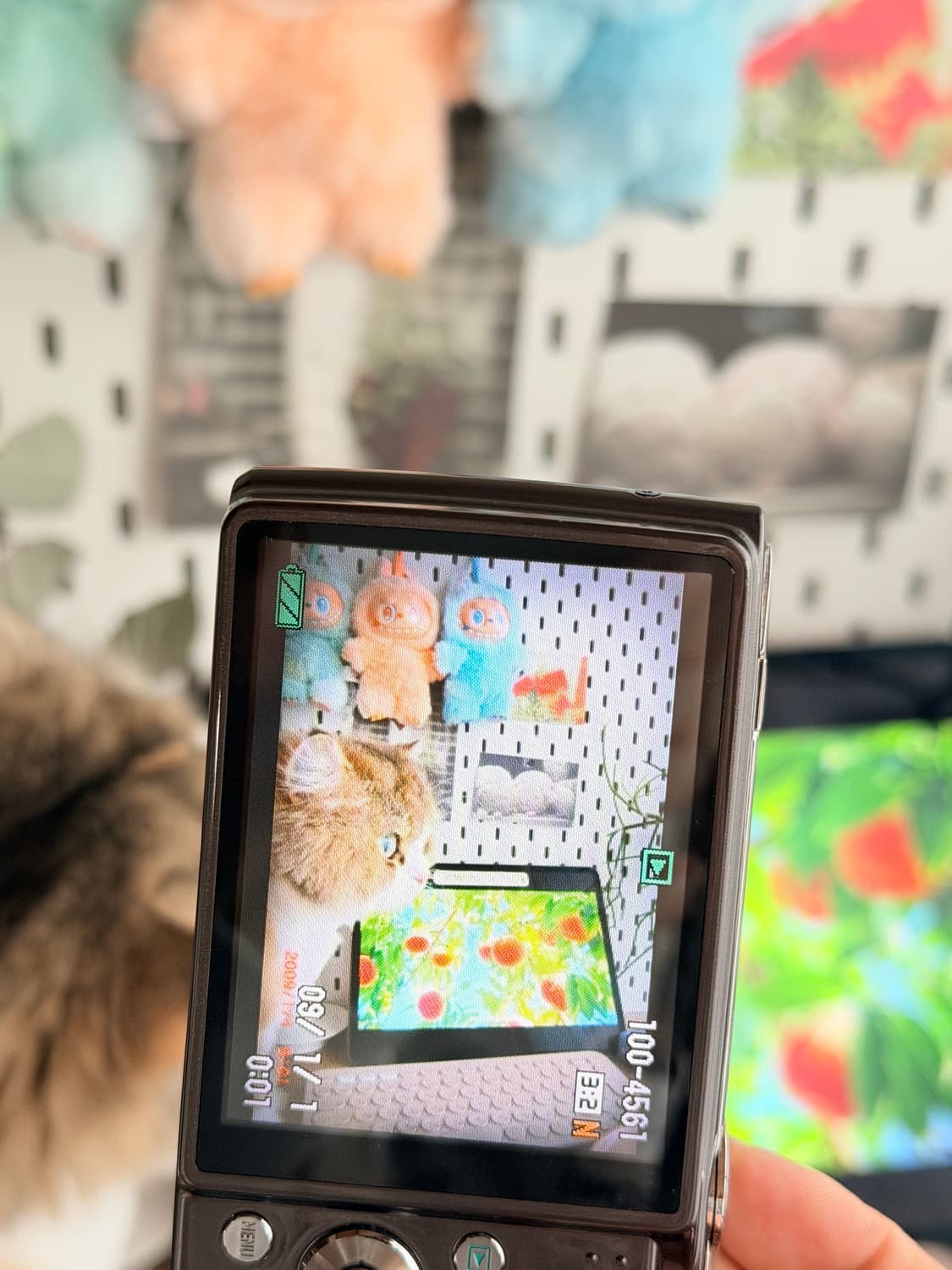 ✨태연 픽 풀박셋✨카시오 엑슬림 EX-Z400 초코브라운 상품이미지9