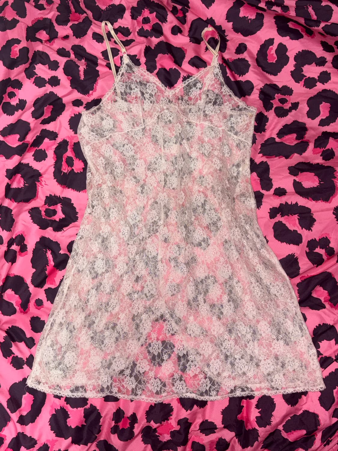 페일로즈 빈티지 오마카세 세트 히메갸루 로걀 상품이미지7