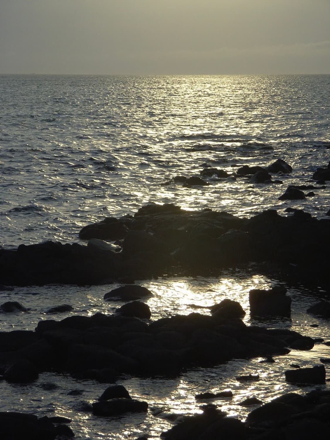 (필름느낌🫧작례o) 리코 카플리오 R4 | Ricoh Caplio R4 상품이미지2