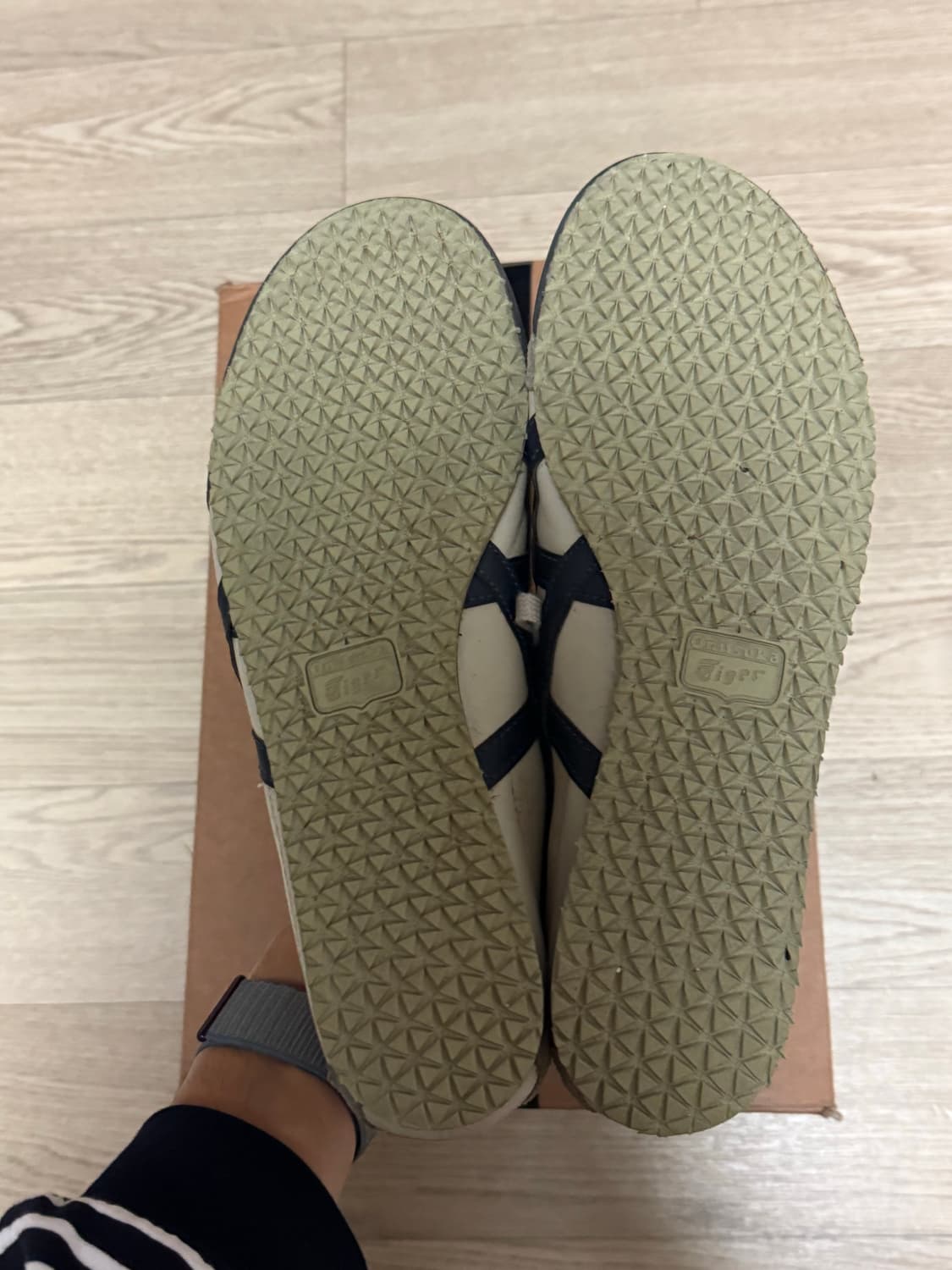 오니츠카타이거 멕시코 66 버치 상품이미지6