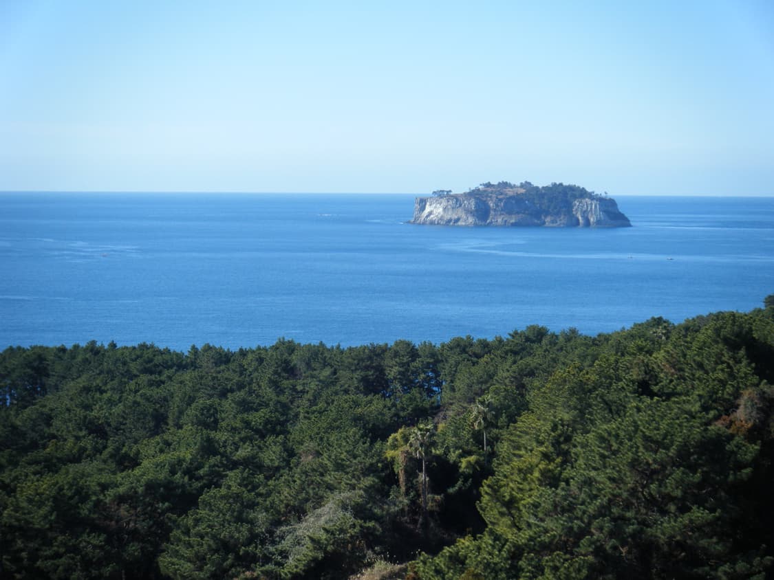 후지필름 파인픽스 FUJIFILM FinePix Z30 화이트 디카 상품이미지10