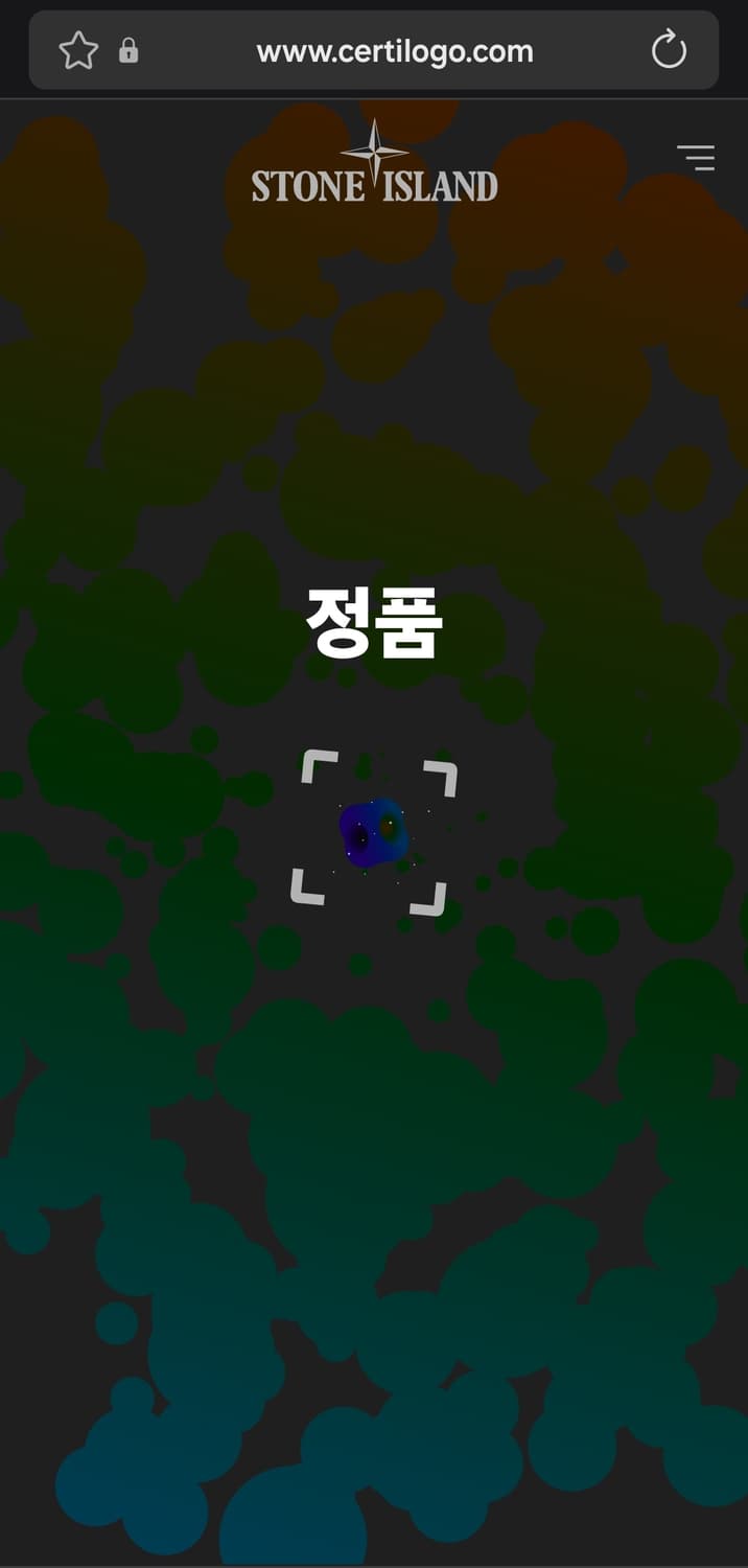 [정품] L / 23FW 스톤아일랜드 크링클랩스 후드 다운 패딩  상품이미지8