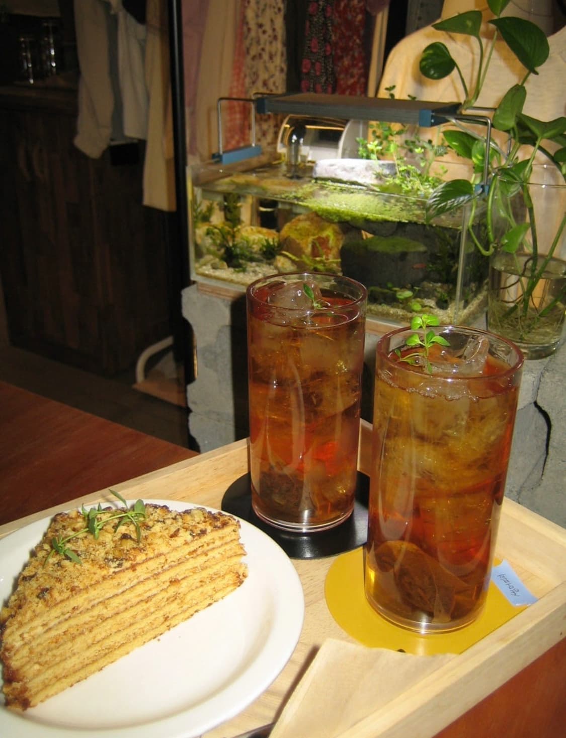 캐논익서스40 익시50 상품이미지6