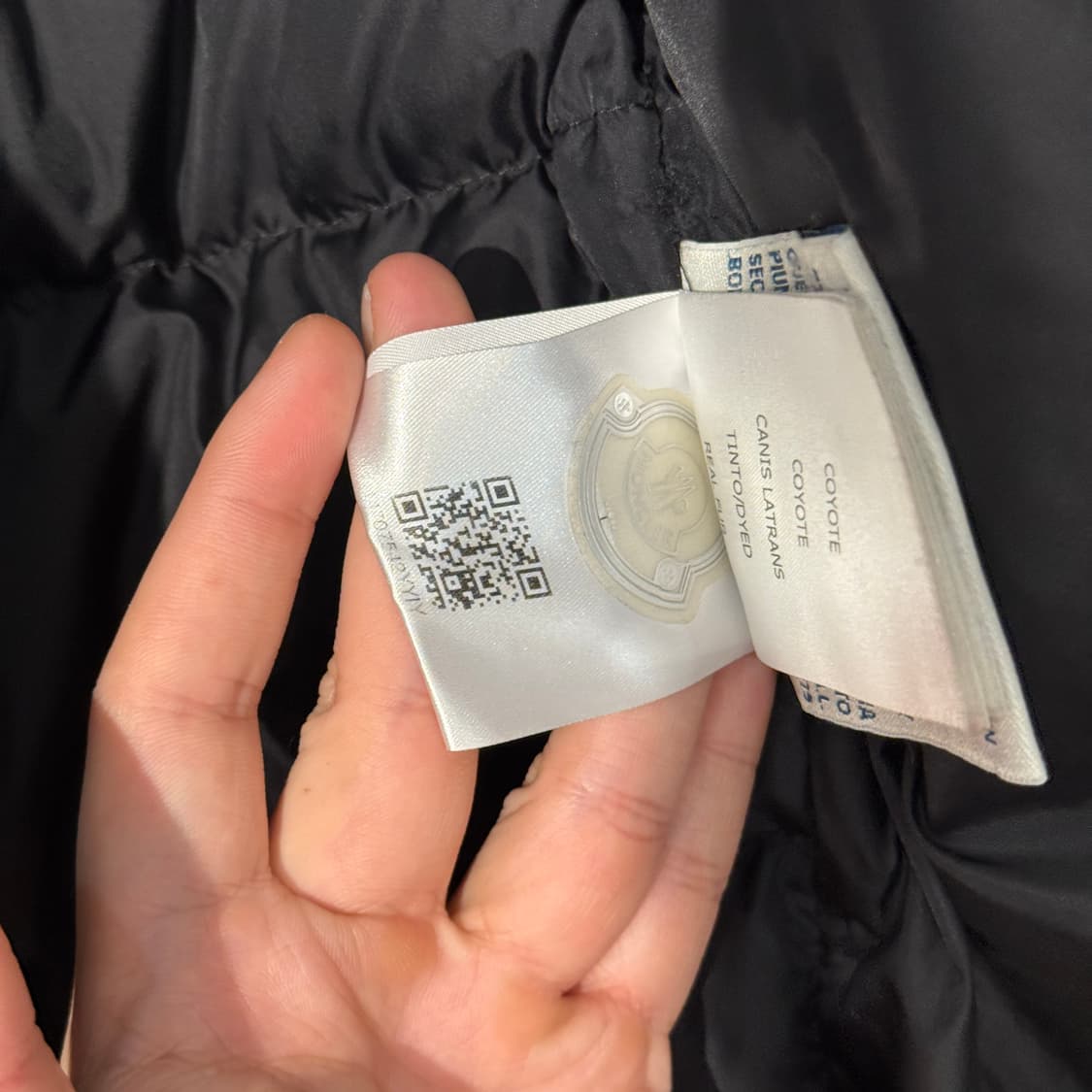 몽클레어 클루니 다운패딩 블랙 4 상품이미지10