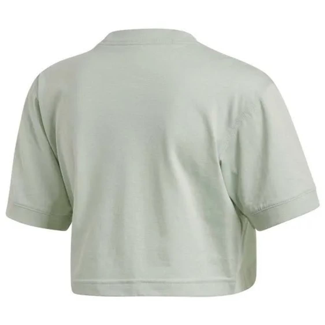 아디다스 오리지널 크롭 반팔티 XS 상품이미지2