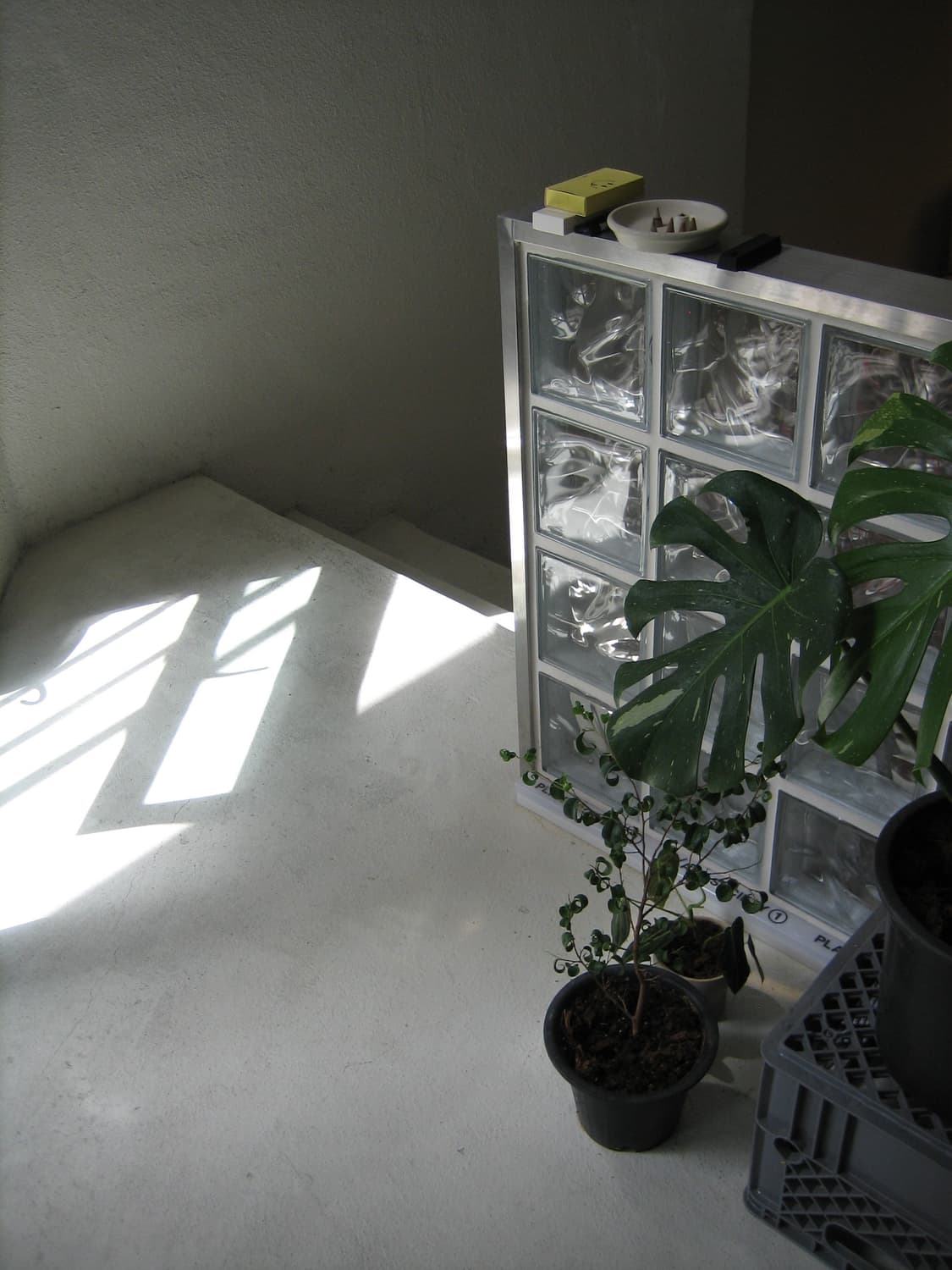 Canon ixy 55 실버 상품이미지6