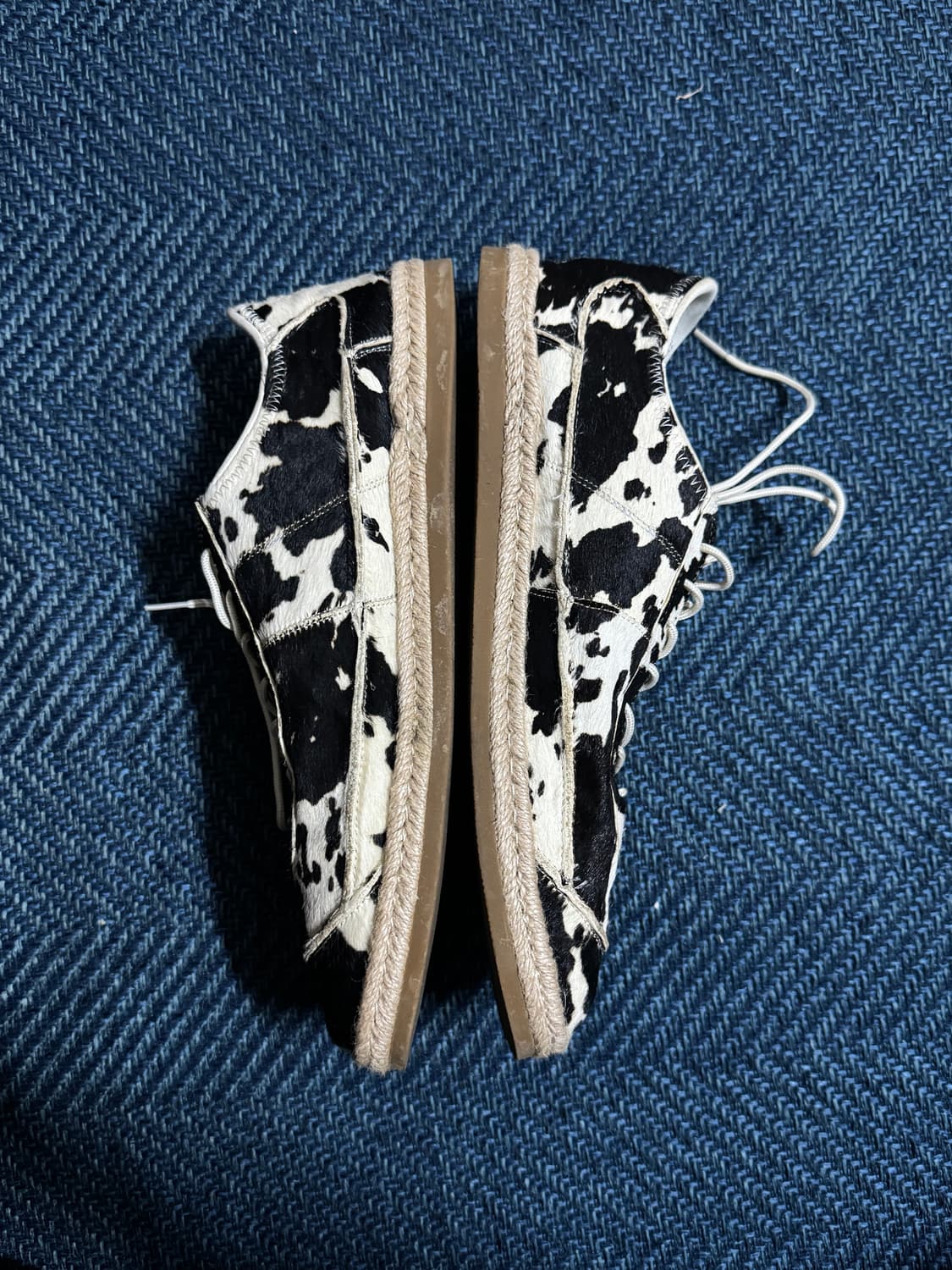 서브카테고리 f161 dalmatian 280 상품이미지4