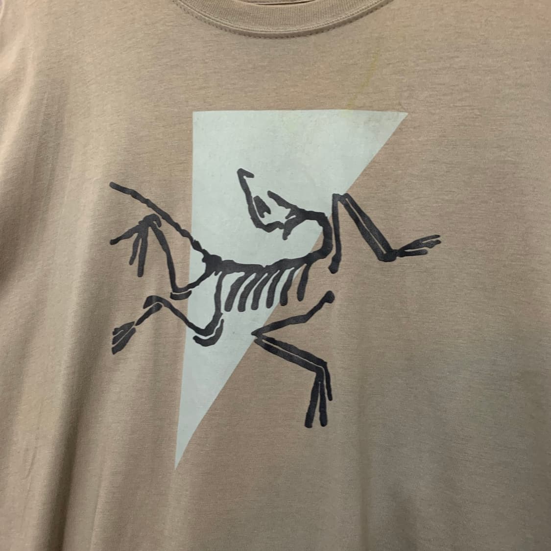 S ARCTERYX 아크테릭스 시조새 프린팅 반팔티 상품이미지3