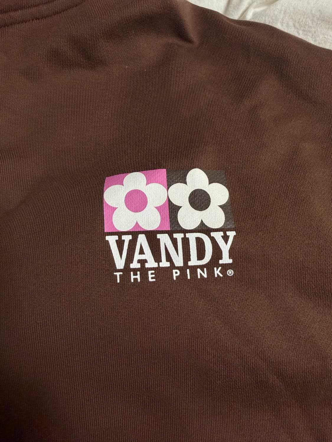 반디더핑크 로고 후드 브라운 후디 상품이미지4