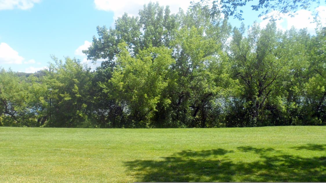 삼성 vluu ST95 빈티지 디카 판매합니다 상품이미지9