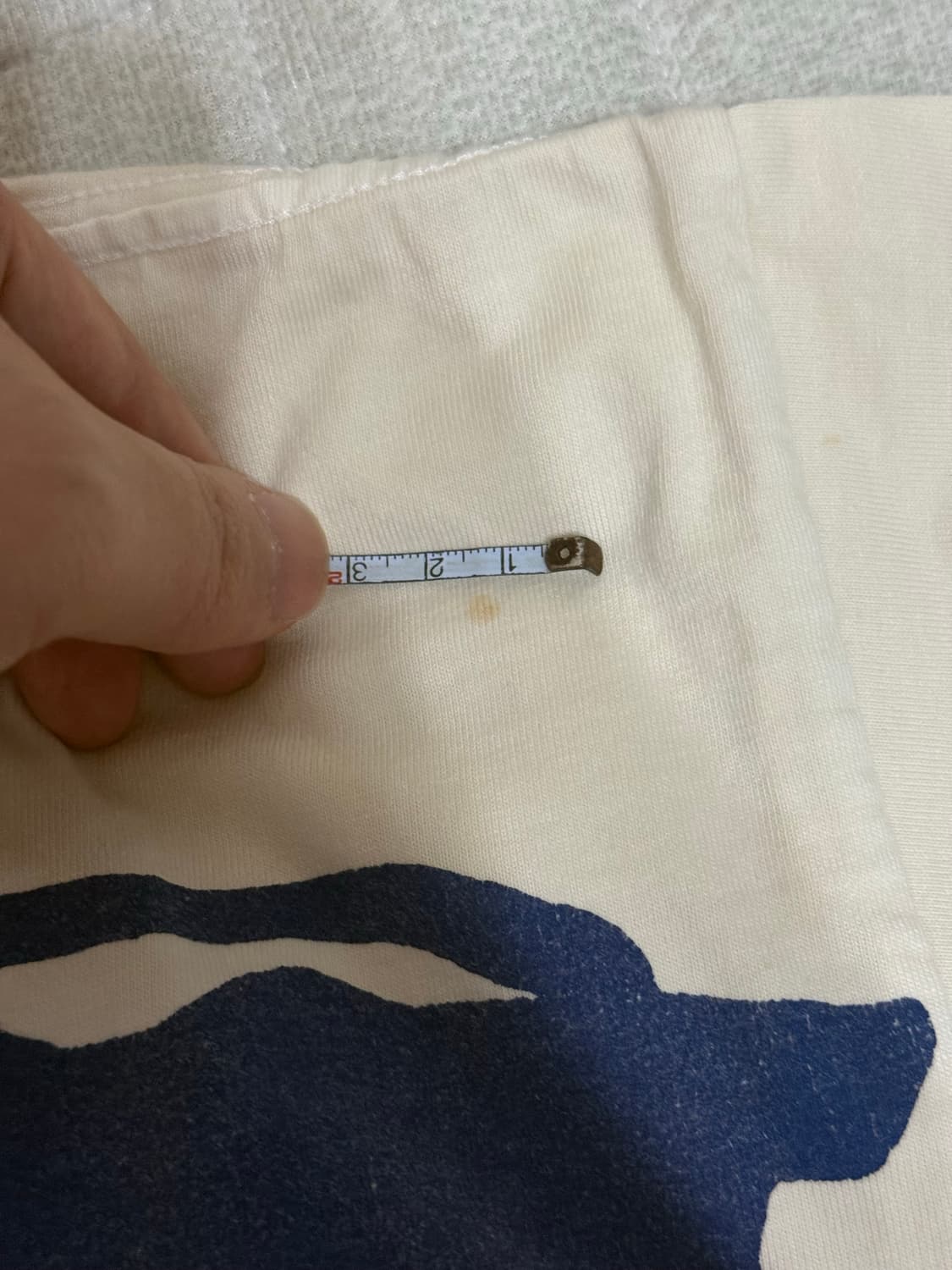 캐피탈 본 반팔 상품이미지5