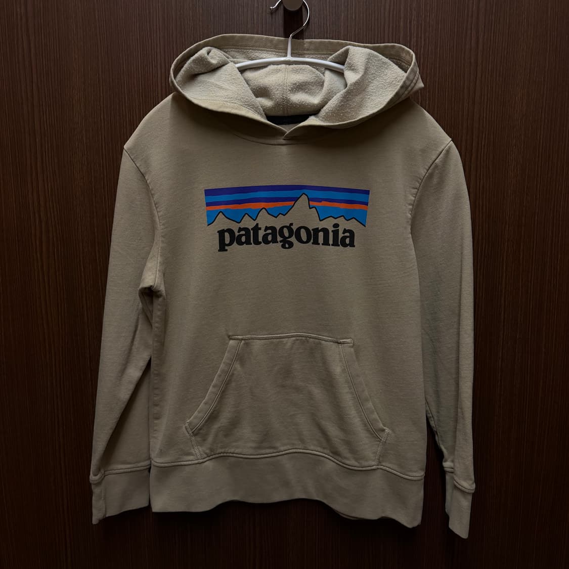 파타고니아 후드티셔츠  상품이미지1