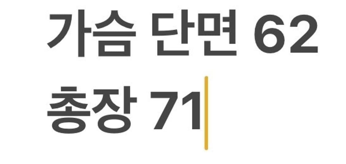 [정품/XL] 노스페이스 고어텍스 바람막이 자켓 경량패딩포함 b15 상품이미지10