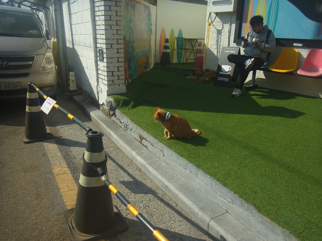 (작례o)리코 px 방수형 골드 디카 상품이미지9