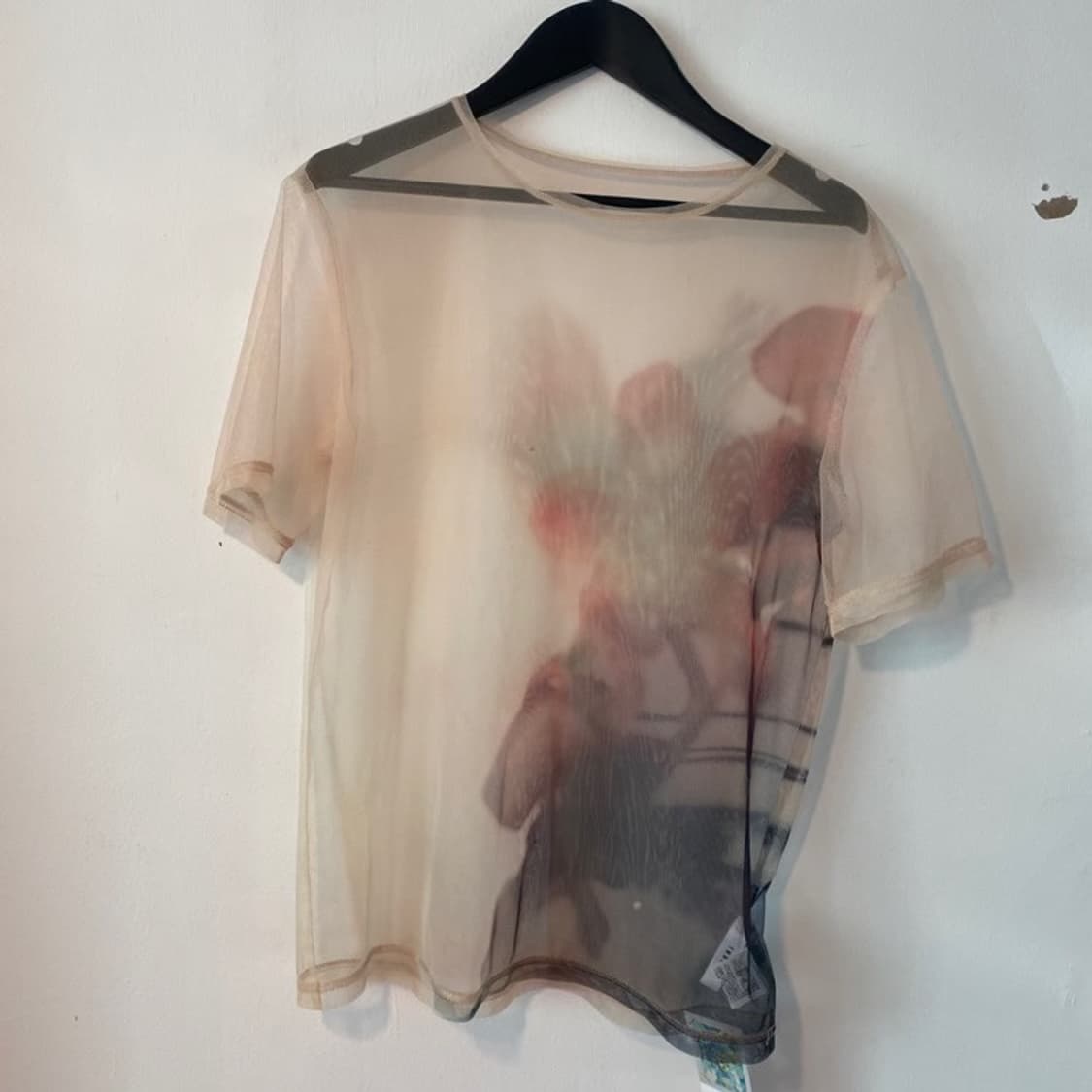 Ameri sheer top 상품이미지6