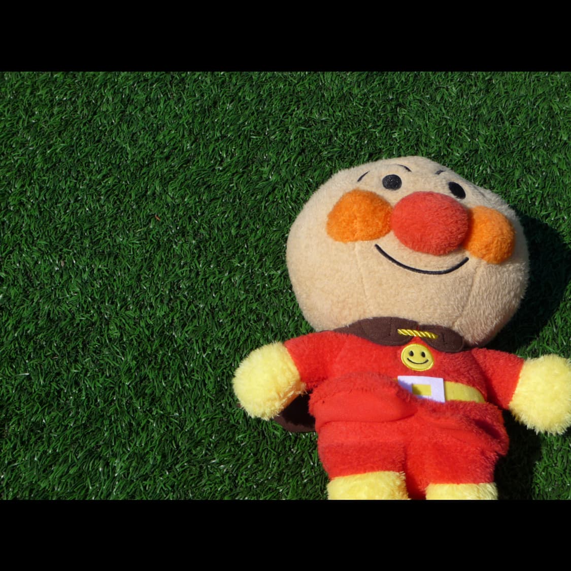 작례⭕️ 파나소닉 루믹스 DMC-TZ5 상품이미지5