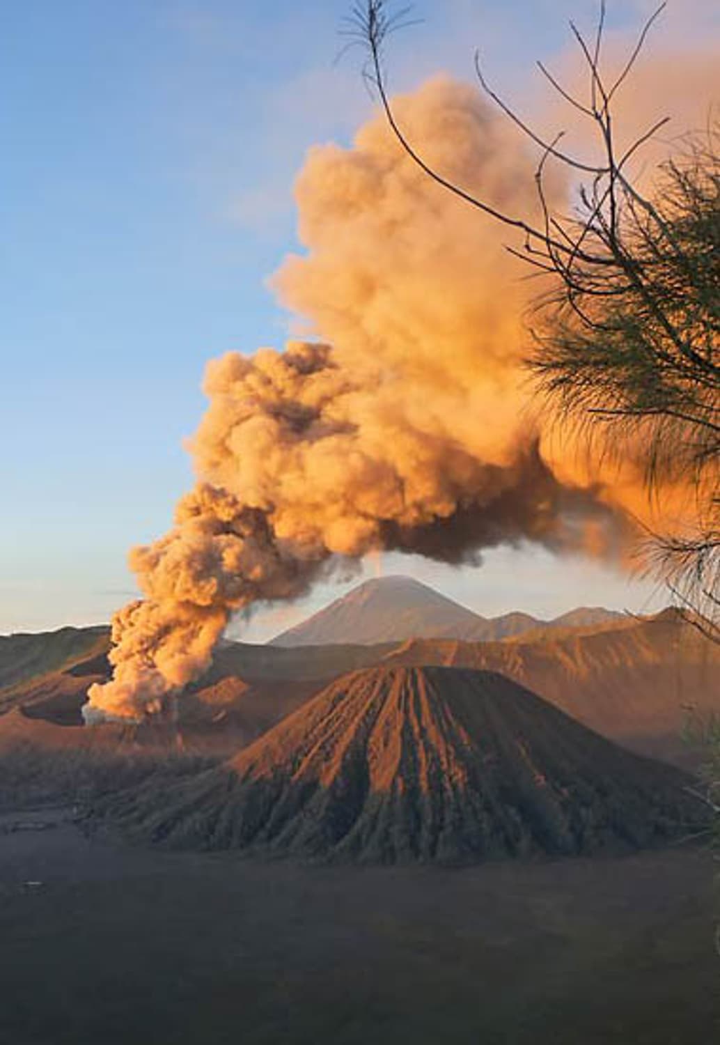 Fujifilm Finepix 4700Z (후지필름 파인픽스 4700Z) 상품이미지8