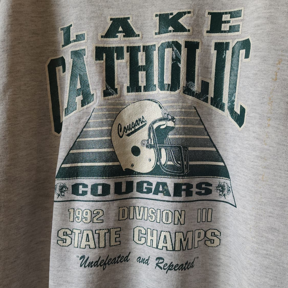 90s 러셀 후드 레이크 캣홀릭 미국 오리지널 빈티지 스웻셔츠 XL 상품이미지5