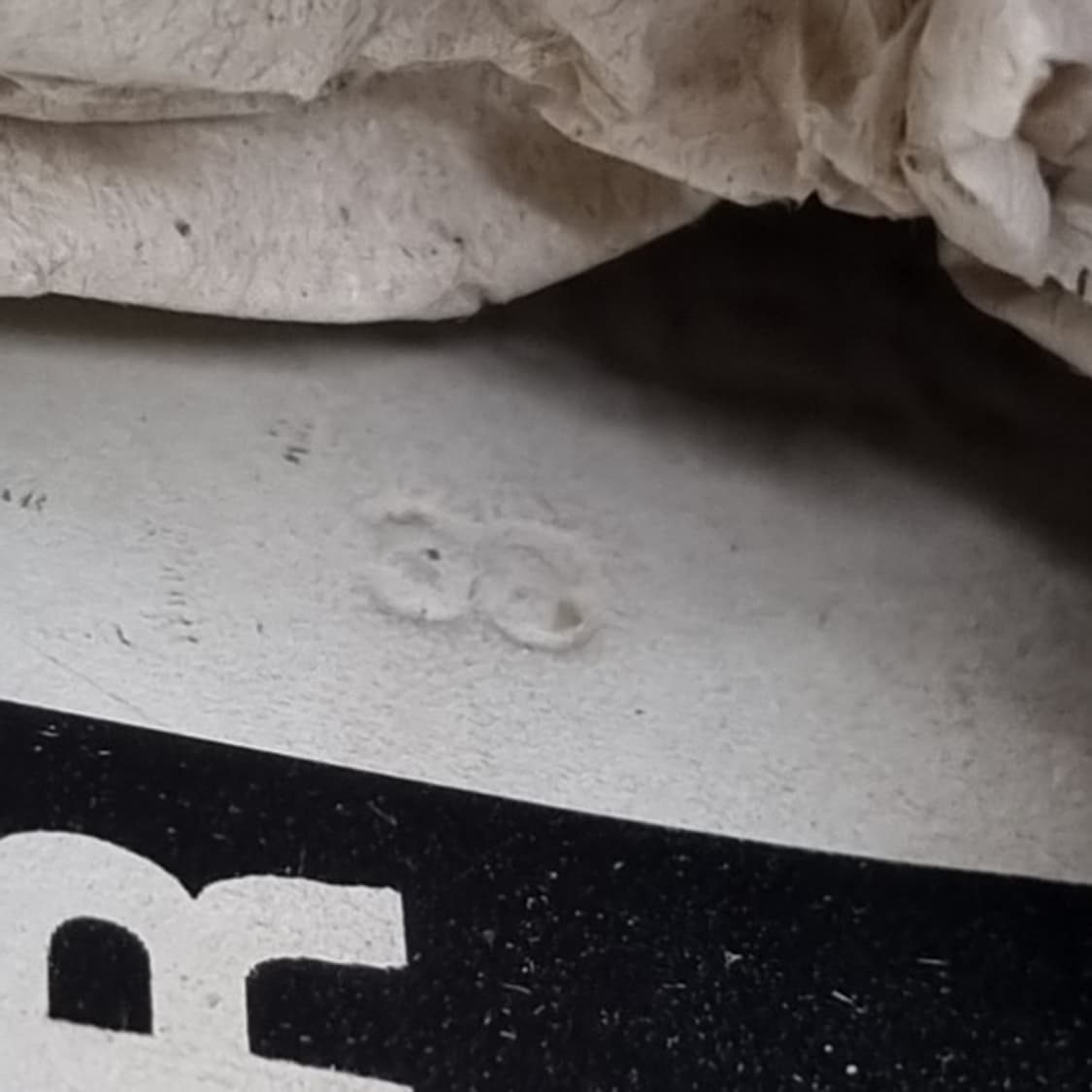 골든구스 슈퍼스타 오렌지탭 스니커즈38 250 상품이미지6