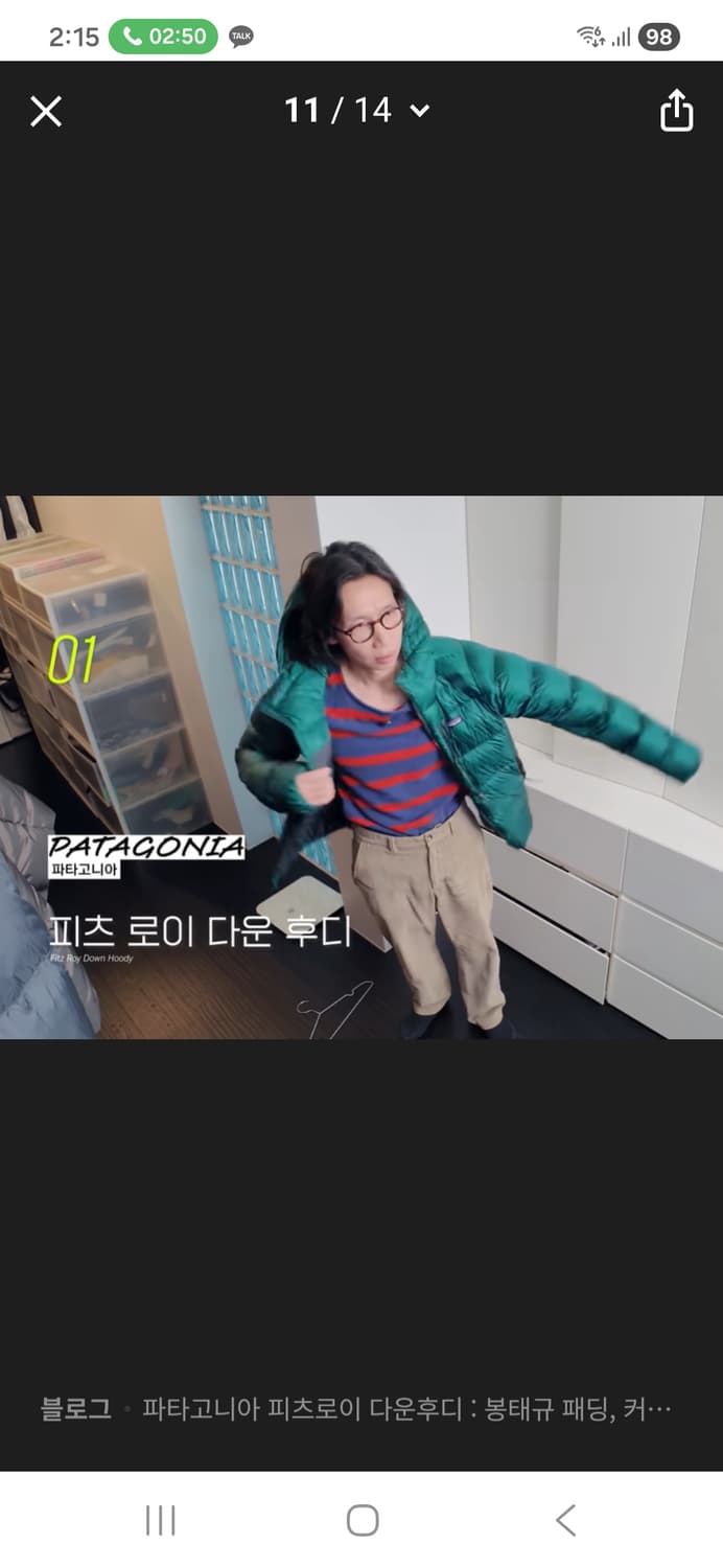 파타고니아 피츠로이 그린L 상품이미지3