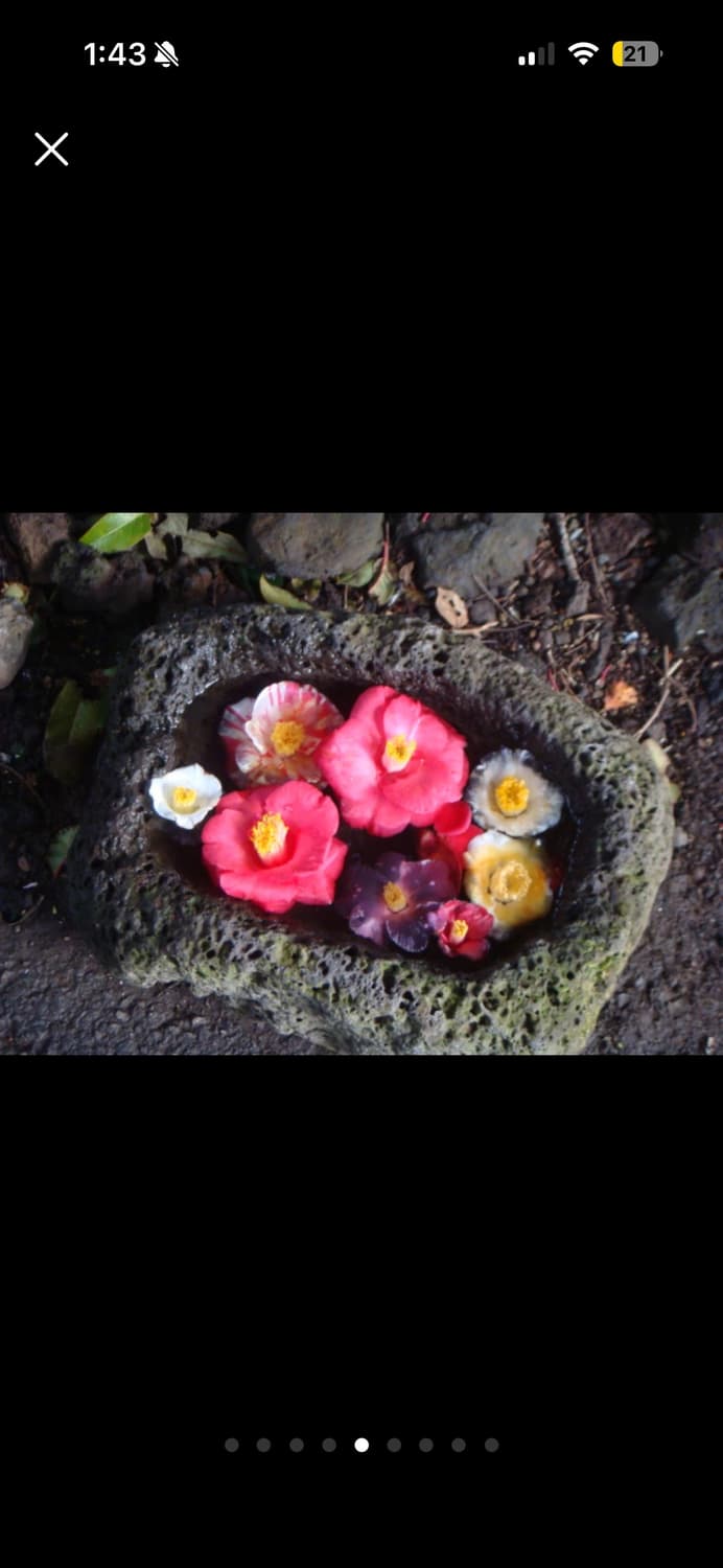 *작례* 소니 사이버샷 dsc t70 풀박스 상품이미지7