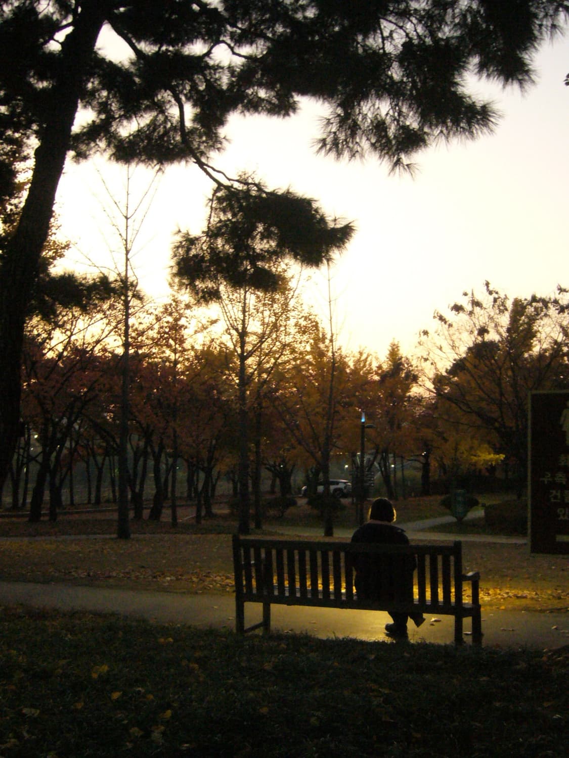 파나소닉 루믹스 fx9 디카 판매 상품이미지10