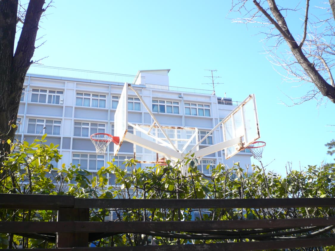 파나소닉 루믹스 DMC-FX50 연핑크 디카 Panasonic Lumix 상품이미지9