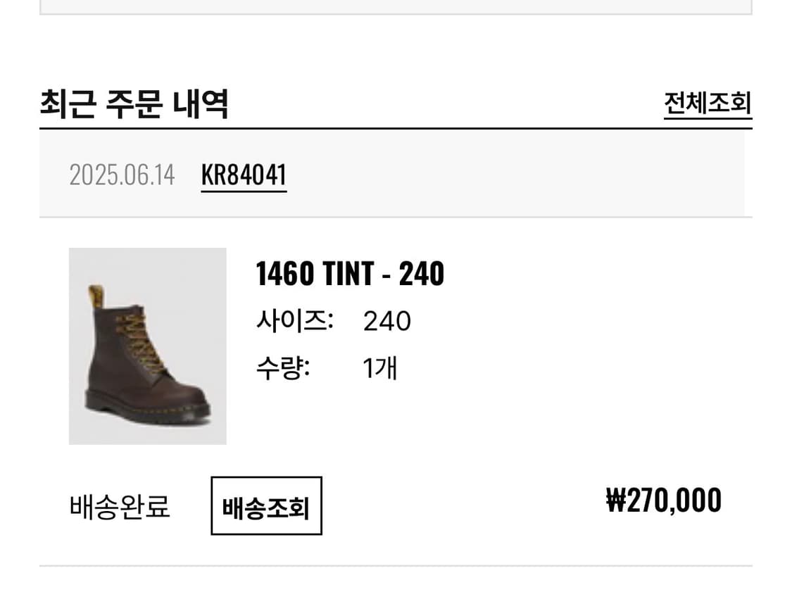 닥터마틴 디스이즈네버댓 1460 TINT - 240 상품이미지5