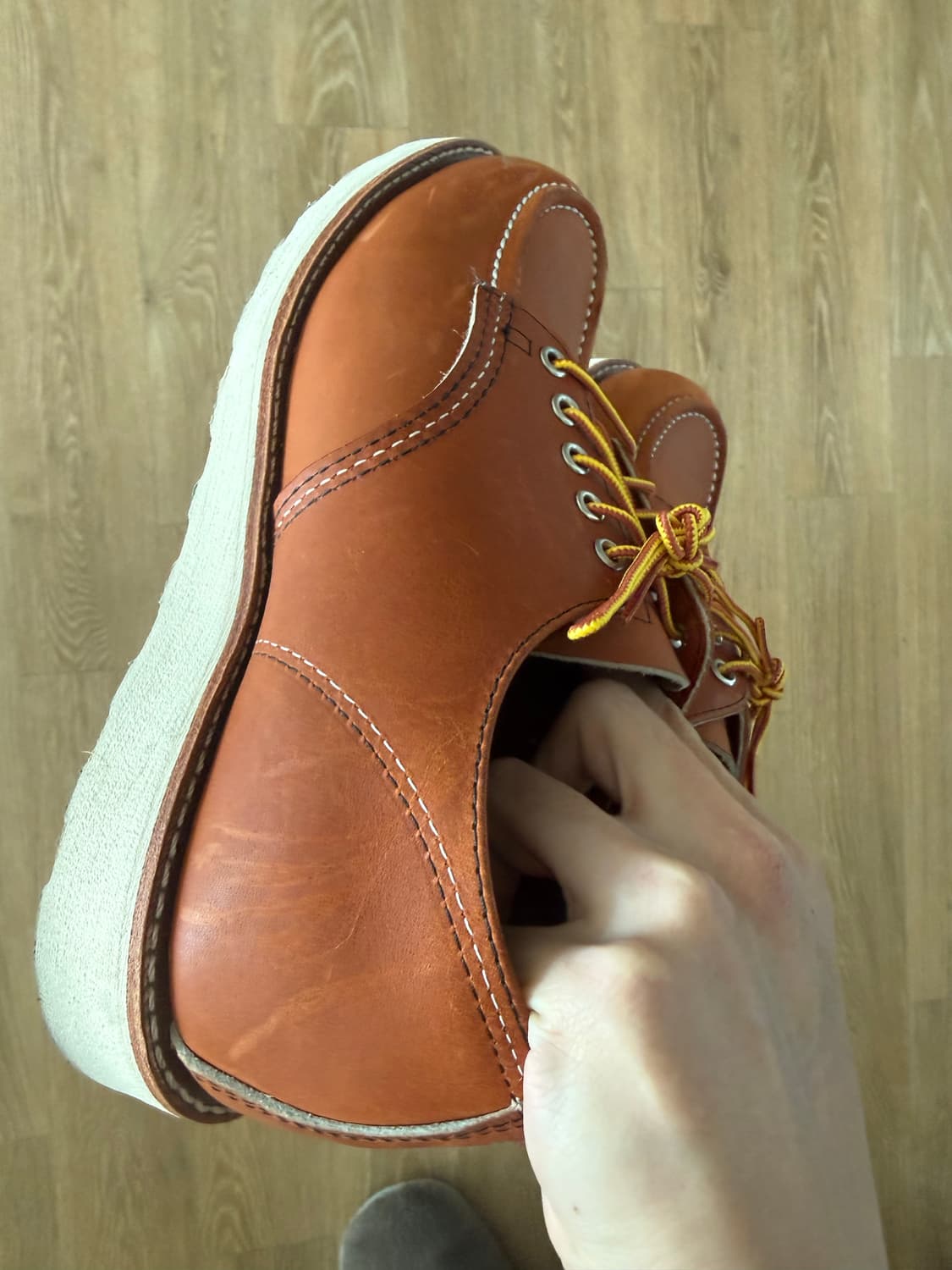 레드윙 8092 옥스포드 목토 상품이미지5