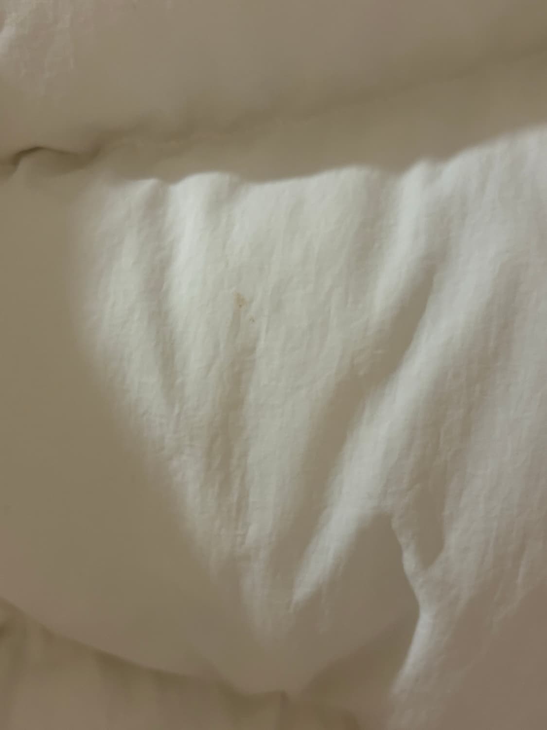 시눈 숏패딩 아이보리 상품이미지8