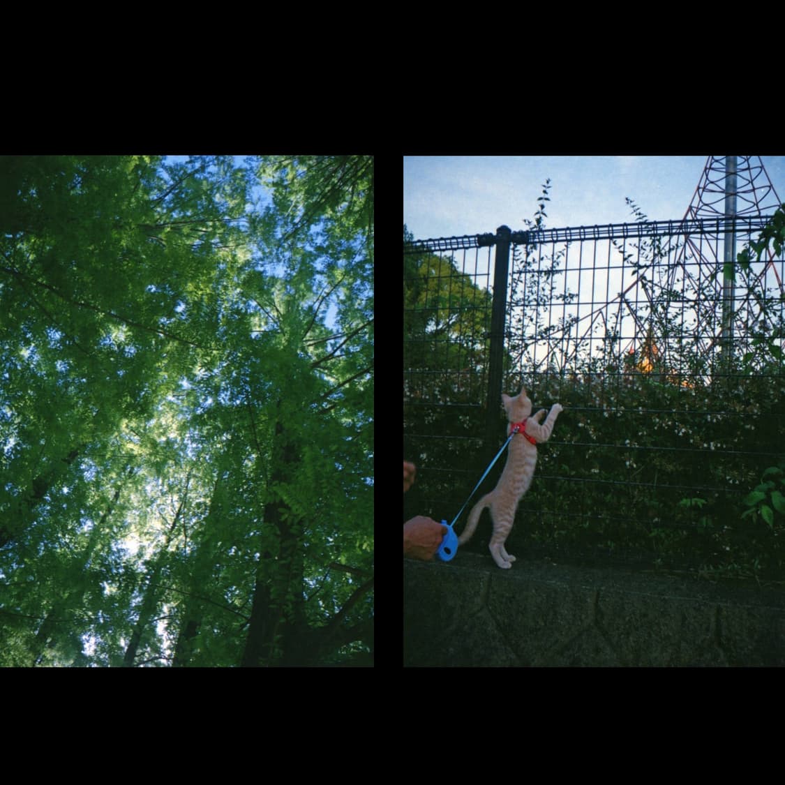 하프필름카메라 리코 오토하프ef2 (작례 0) 상품이미지4