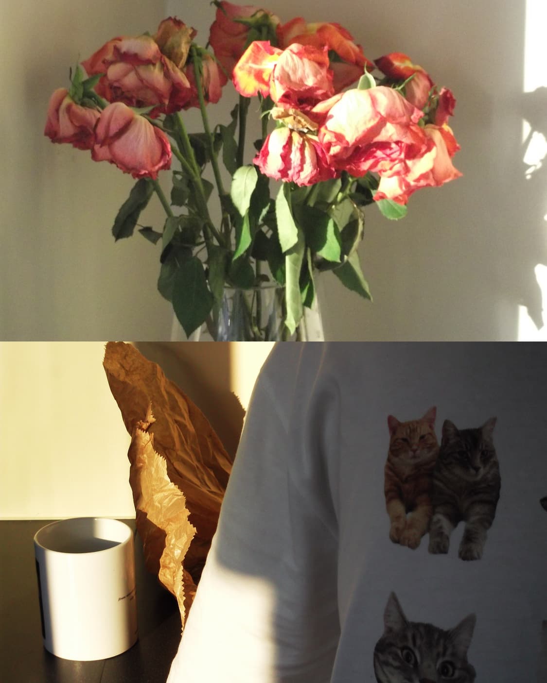 Fujifilm FinePix L55 상품이미지10