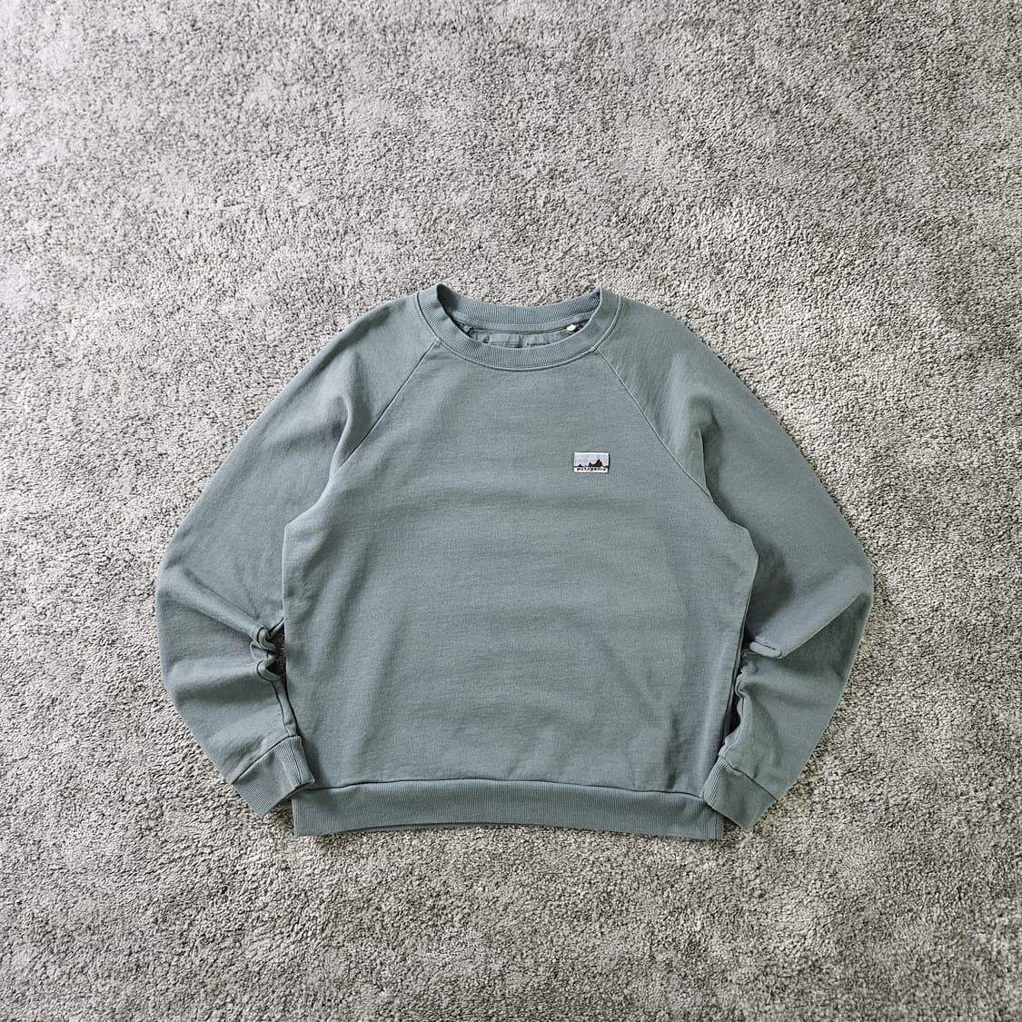 [무료배송] Patagonia 맨투맨 상품이미지1