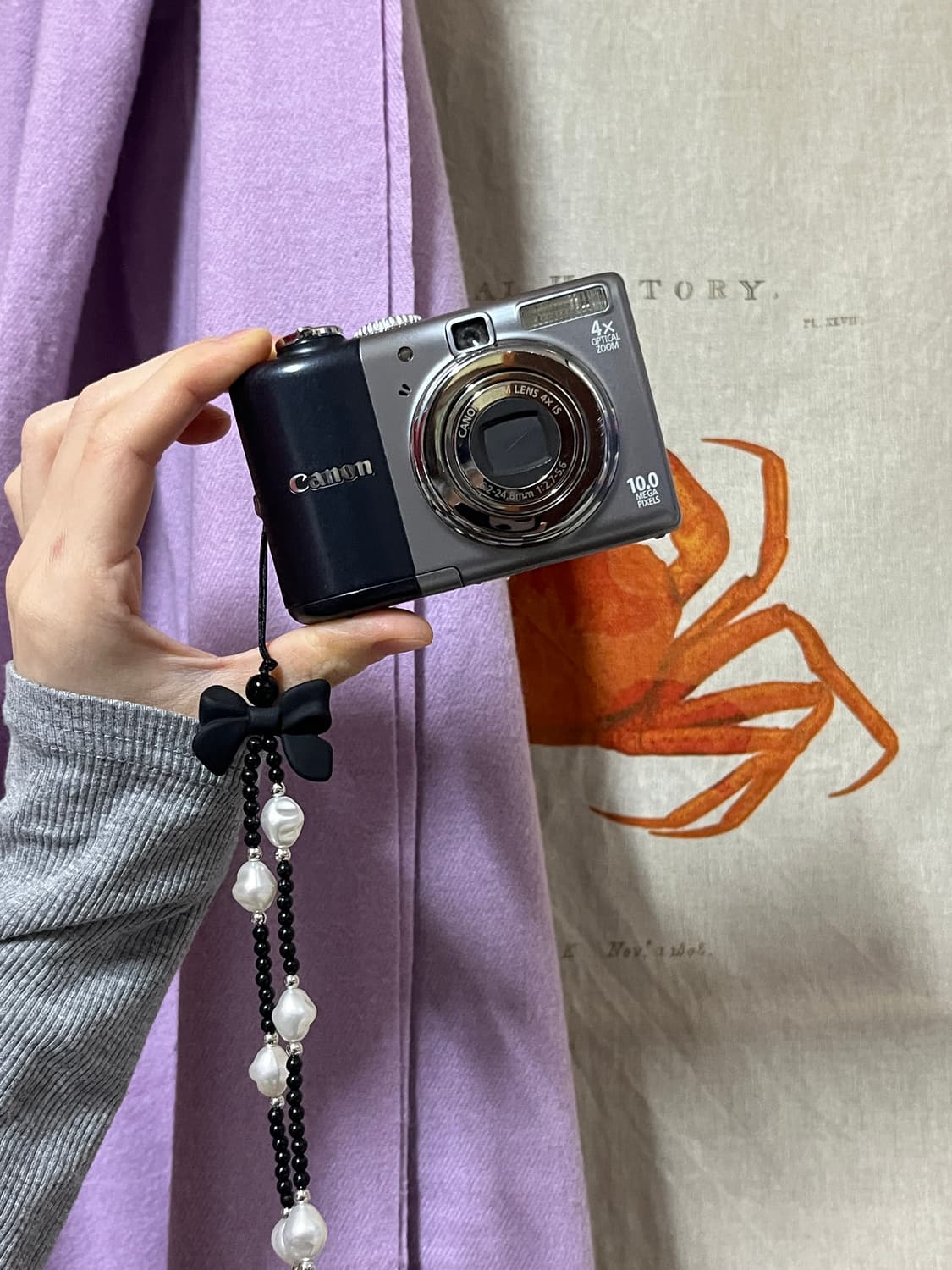 캐논 A1000is 상품이미지1